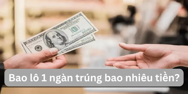 Bao lô (lô tô) là một hình thức cá cược dựa trên kết quả xổ số truyền thống